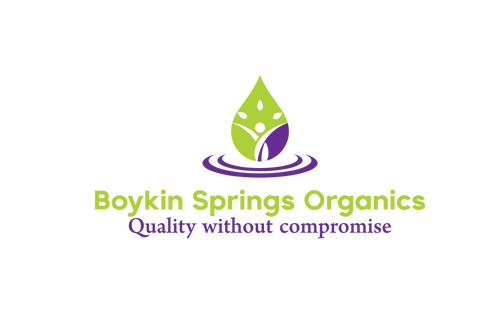 Boykin Springs Organics Charcoal & Peppermint Infusion Shampoo